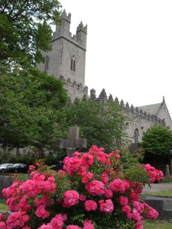 Amazing Ireland