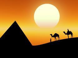Camels at Sunset