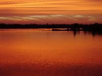 The Nile