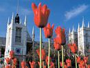 Westminster Abbey