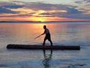 Midnight Sun