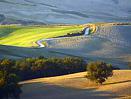 Tuscan countryside