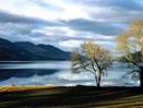 Scottish Spree