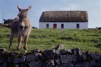 Aran Islands