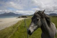 Connemara