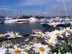 Travel To Finland