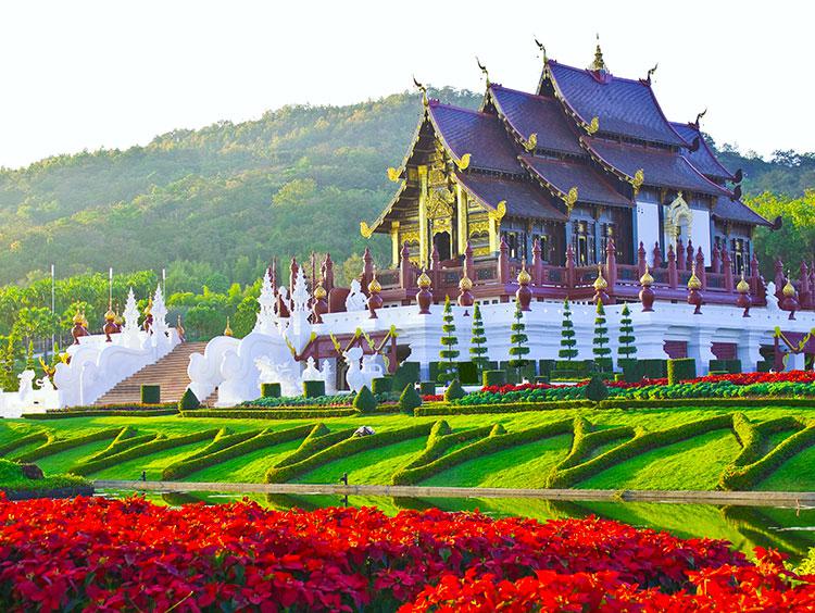 Bangkok and The Amazing North Escorted Tour