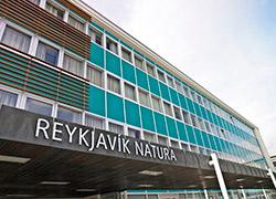 Icelandair Hotel Natur