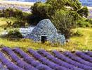 Paris & Provence