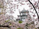 Tokyo, Kamakura, Mt. Fuji, Kyoto, Nara and Hiroshima Escorted Tour