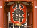 Tokyo, Mt. Fuji, Kyoto and Nara Escorted Tour