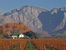 Cape Town and Winelands