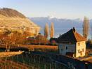 Swiss Splendour 7-Day Escorted Tour