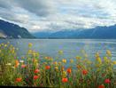 Swiss Splendour and Glacier Express 7-Day Escorted Tour