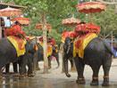 Phuket and 4-Day Elephant Hills Beach & Rainforest Safari Escorted Tour