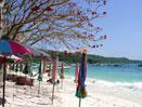 Bangkok and Phuket