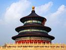 China Experience Private Guided Tour