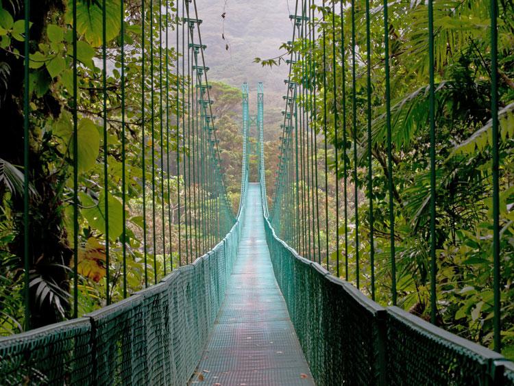 Costa Rican Journey