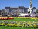 Thanksgiving in London