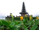 Bali & Singapore