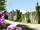 Irish Castle Experience