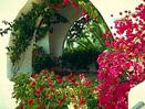 Madrid, Andalucia and Costa del Sol Escorted Tour