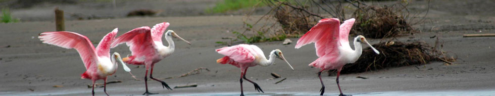 Kenya and Tanzania Group Vacation
