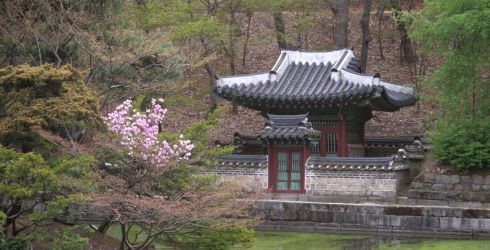 Korea Group Tours