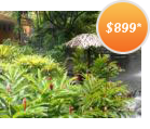 Costa Rican Adventure