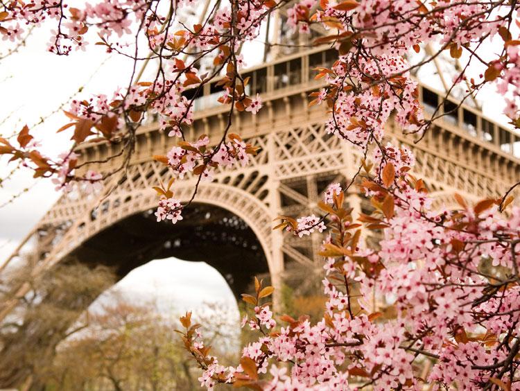 Paris Eiffel Tower