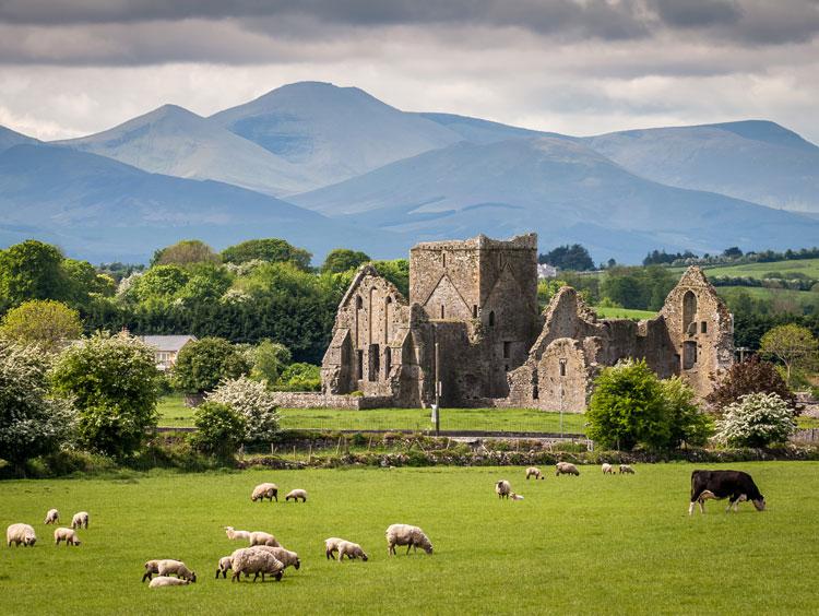 Ireland-countryside-landscape.jpg