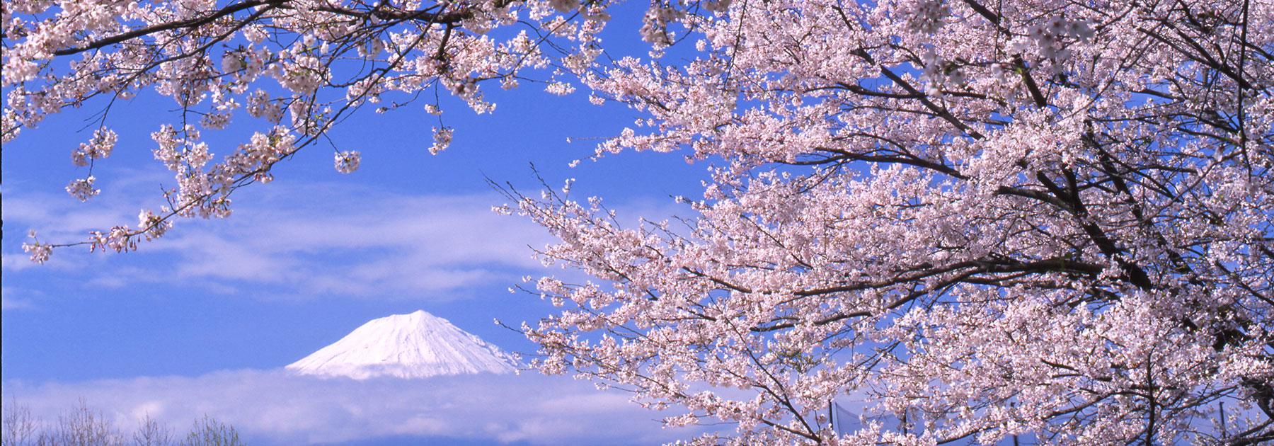 Gardens of Japan Group Tour Gardens of Japan Group Tour