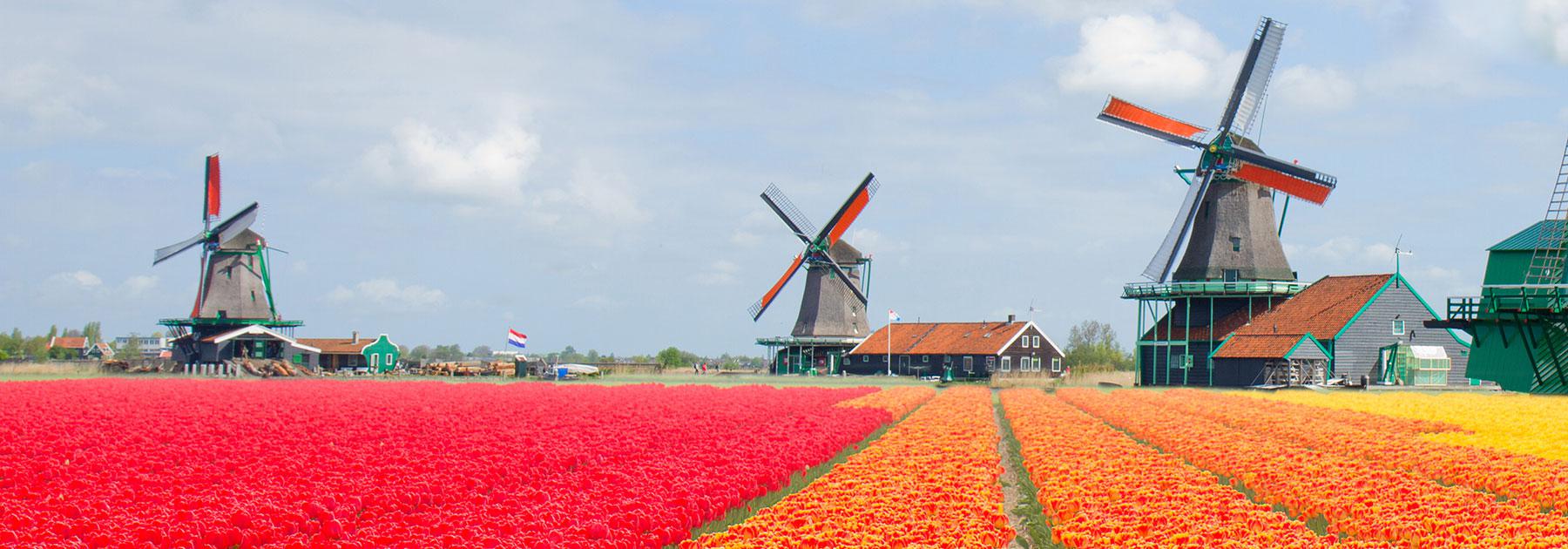 Netherlands Group Travel