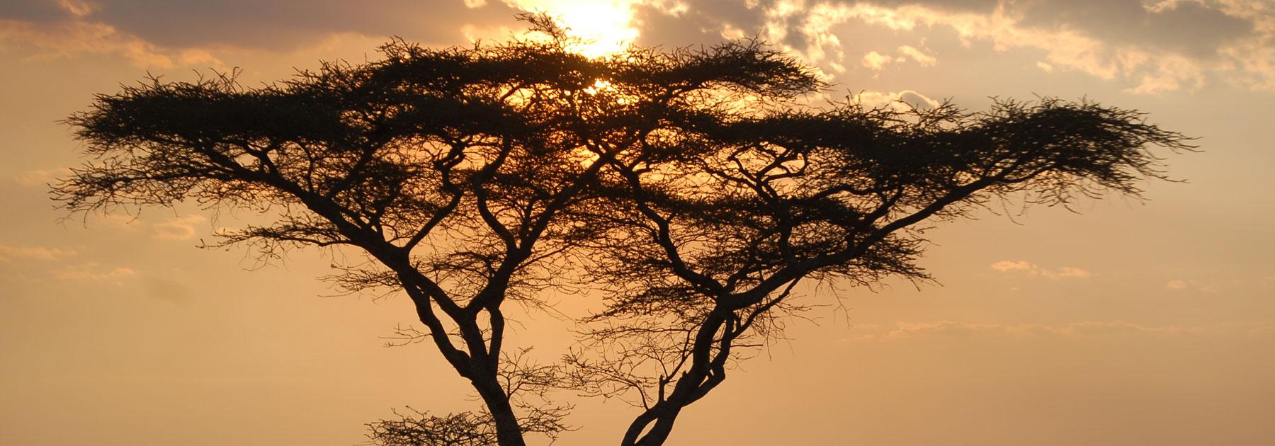Kenya and Tanzania Group Tour Kenya and Tanzania Group Tour