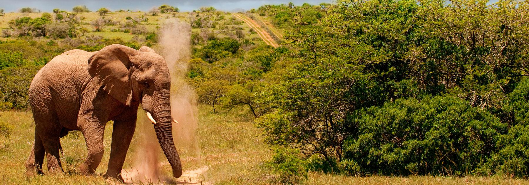 South Africa and Victoria Falls Group Tour South Africa and Victoria Falls Group Tour