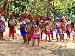 Private Half Day Embera Quera Indigenous Community Tour
